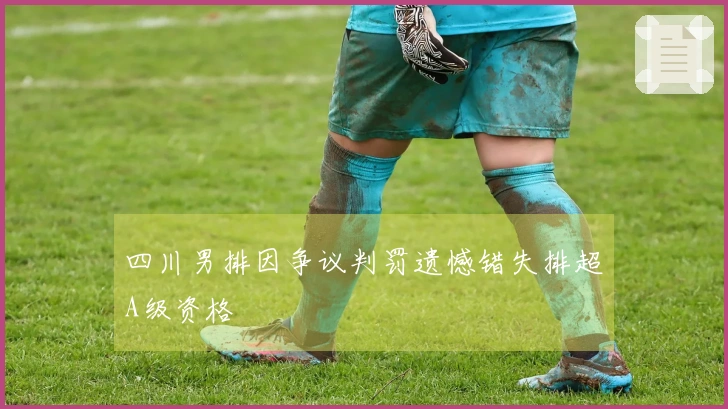四川男排因争议判罚遗憾错失排超A级资格